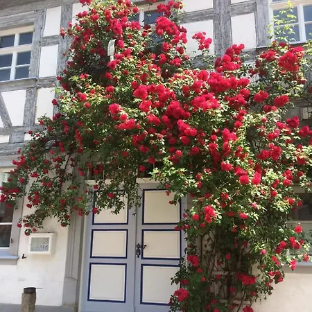 Gaestehaus Alter Graben 8 Aparthotel